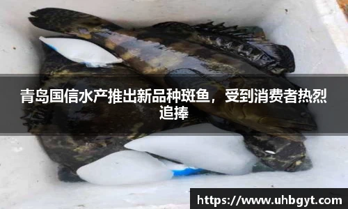 青岛国信水产推出新品种斑鱼，受到消费者热烈追捧